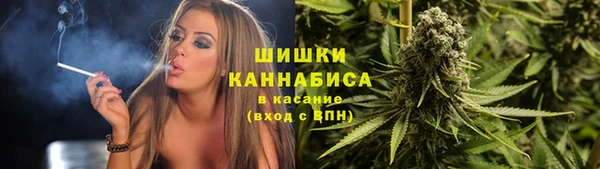 spice Алзамай