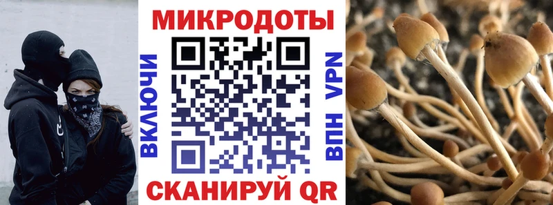 Галлюциногенные грибы мухоморы  сколько стоит  ссылка на мегу маркетплейс  Тюкалинск 